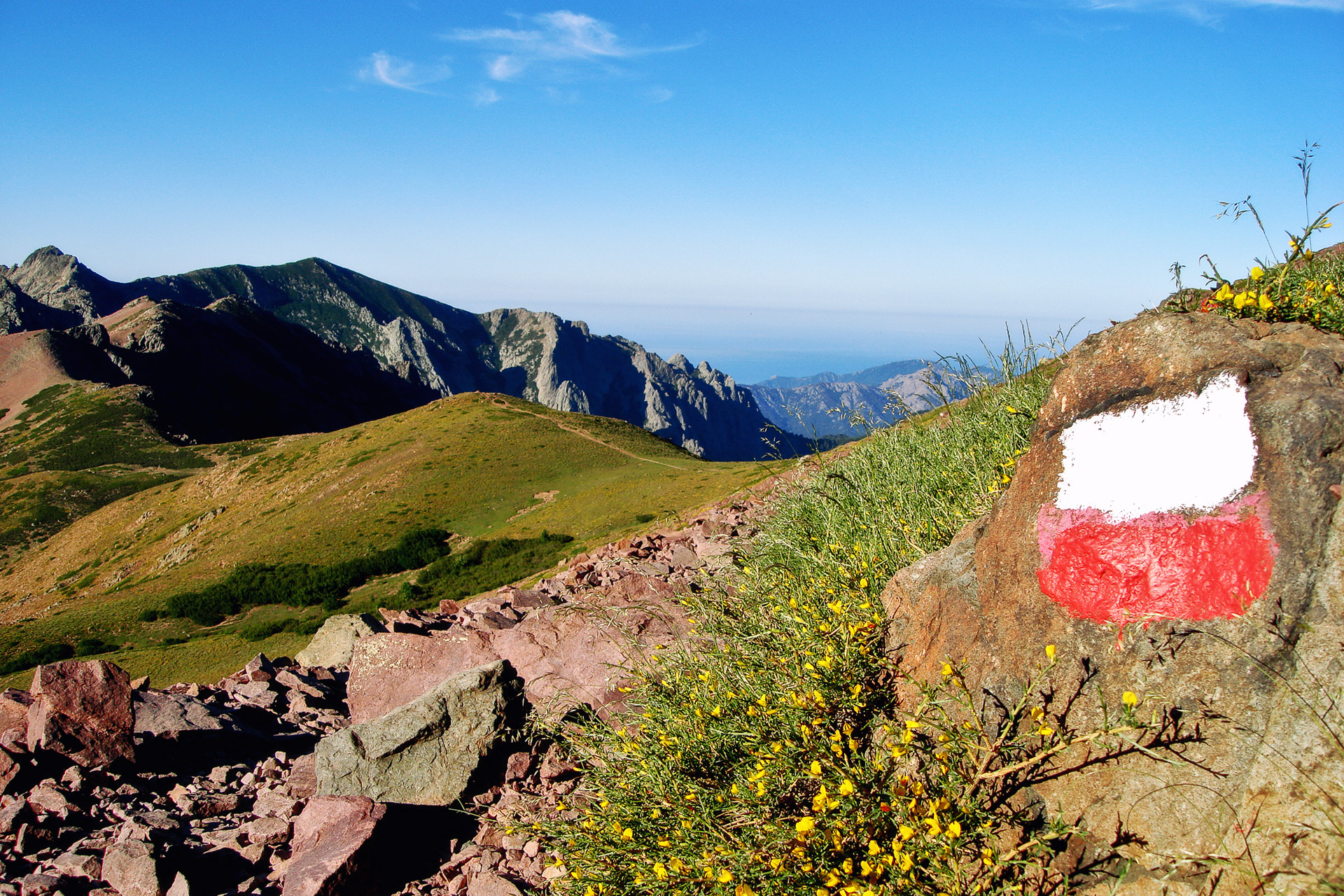 Débardeur Homme/Femme GR20 Corse - Hommage à La Grande Randonnée, Trekking, Voyage Nature | Coton Léger
